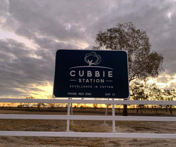 cubbie station tours